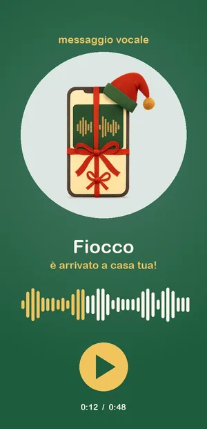 I messaggi vocali di Fiocco