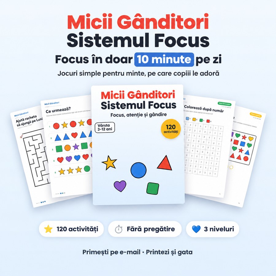 Micii Gânditori – Sistemul Focus